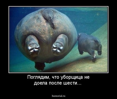 Поглядим, что уборщица не доела после шести...