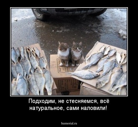 Подходим, не стесняемся, всё натуральное, сами наловили!