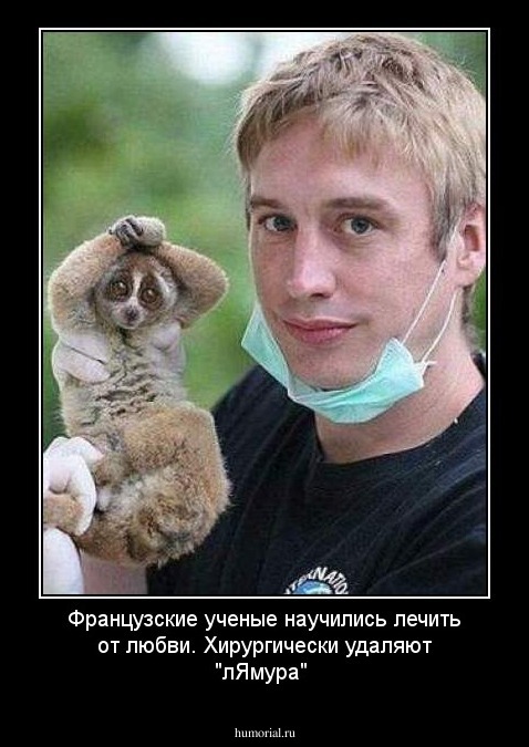 Французские ученые научились лечить от любви. Хирургически удаляют "лЯмура"