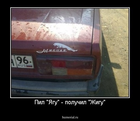 Пил "Ягу" - получил "Жигу"