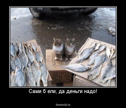Сами б ели, да деньги надо!