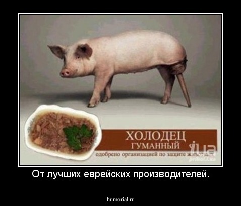 От лучших еврейских производителей.