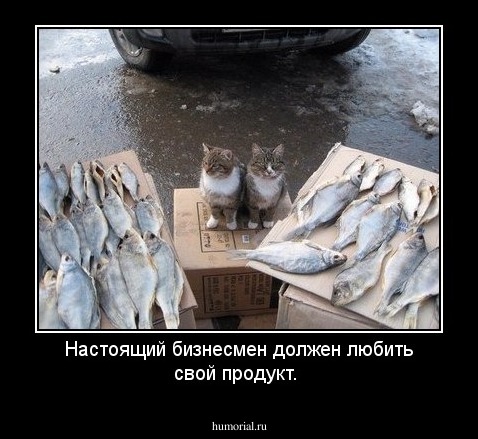 Настоящий бизнесмен должен любить свой продукт.