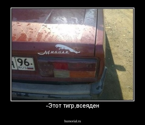 -Этот тигр,всеяден