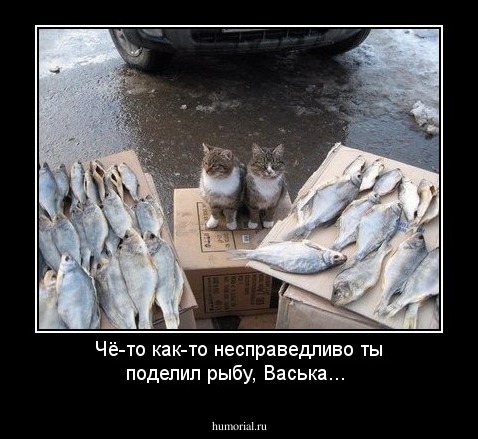 Чё-то как-то несправедливо ты поделил рыбу, Васька...