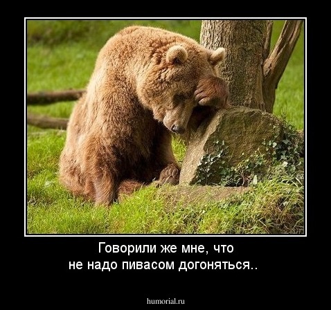 Говорили же мне, что не надо пивасом догоняться..
