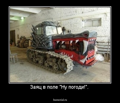 Заяц в поле "Ну погоди!". 