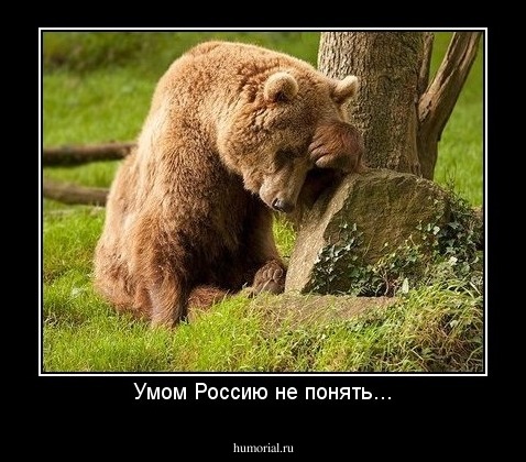 Умом Россию не понять...