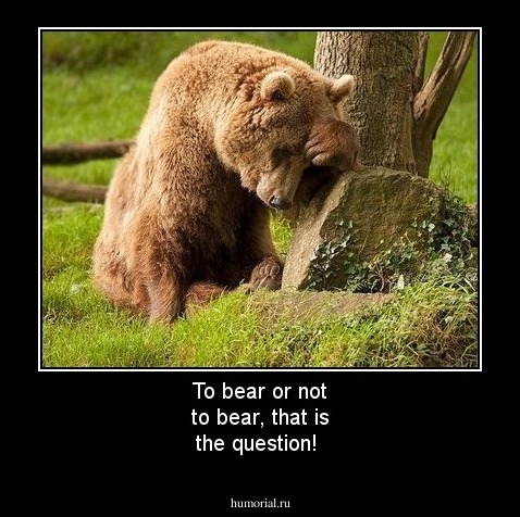 To bear or not to bear, 
that is the question!