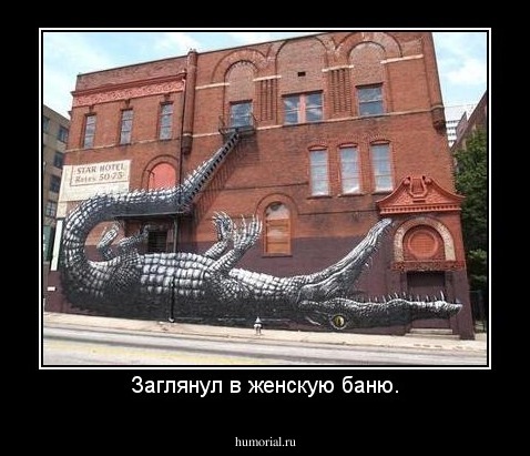 Заглянул в женскую баню.