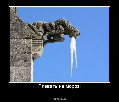 Плевать на мороз!