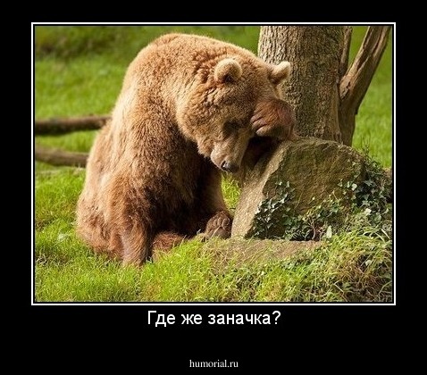 Где же заначка?