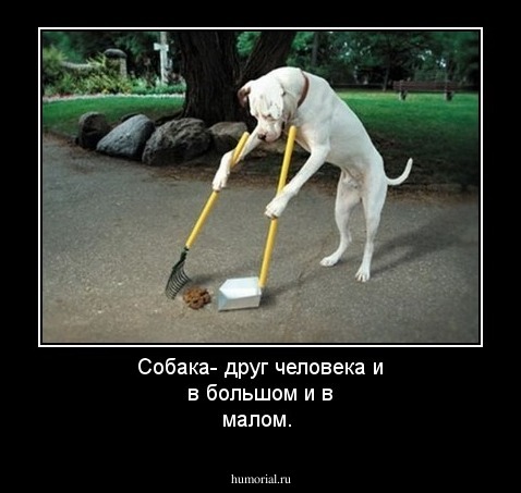 Собака- друг человека и в большом и в малом.