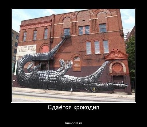 Сдаётся крокодил