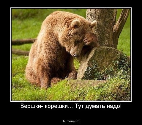 Вершки- корешки... Тут думать надо!