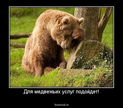 Для медвежьих услуг подойдет!
