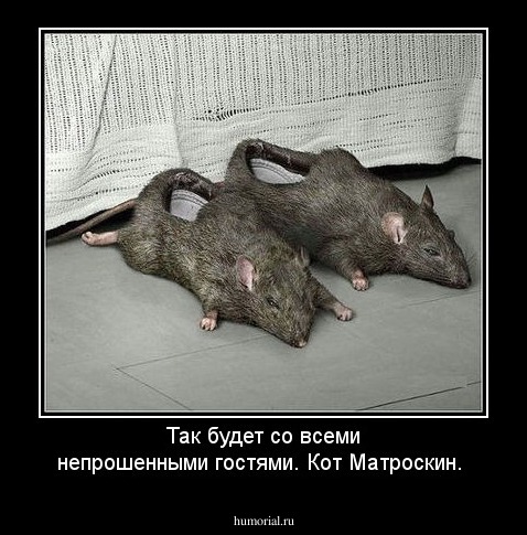 Так будет со всеми непрошенными гостями. Кот Матроскин.
