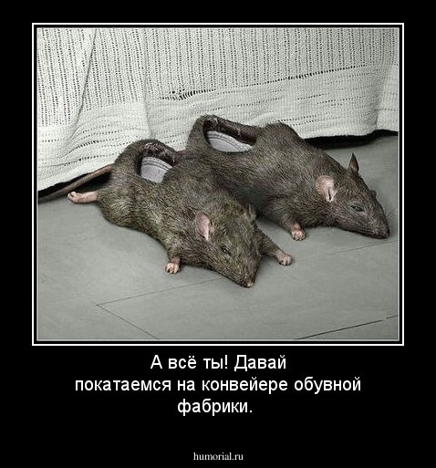 А всё ты! Давай покатаемся на конвейере обувной фабрики.