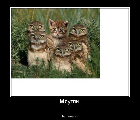 Мяугли.
