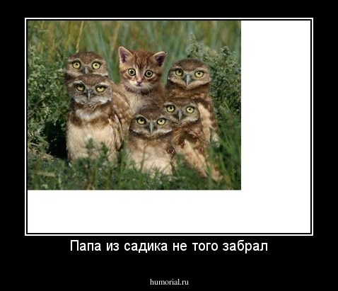Папа из садика не того забрал