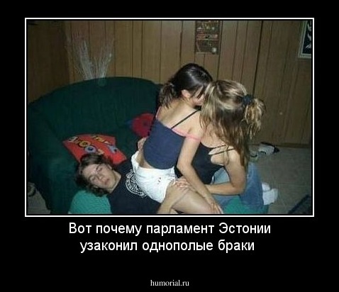 Вот почему парламент Эстонии узаконил однополые браки