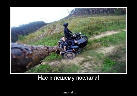 Нас к лешему послали!