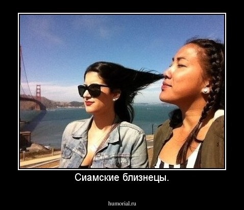 Сиамские близнецы.