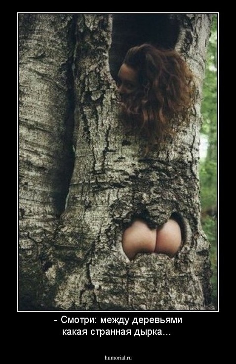 - Смотри: между деревьями какая странная  дырка...