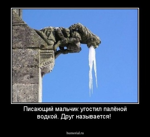 Писающий мальчик угостил палёной водкой. Друг называется!
