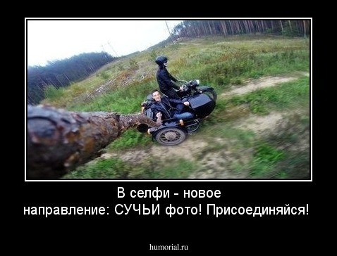 В селфи - новое направление: СУЧЬИ фото! Присоединяйся!