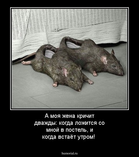 А моя жена кричит дважды: когда ложится со мной в постель, и когда встаёт утром!