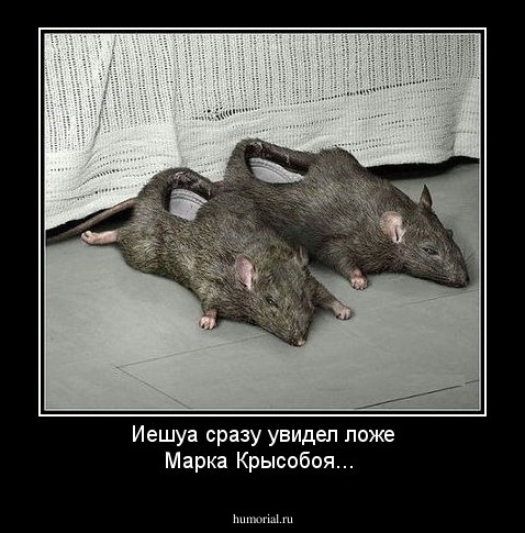Иешуа сразу увидел ложе Марка Крысобоя...
