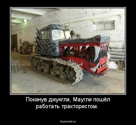 Покинув джунгли, Маугли пошёл работать трактористом.