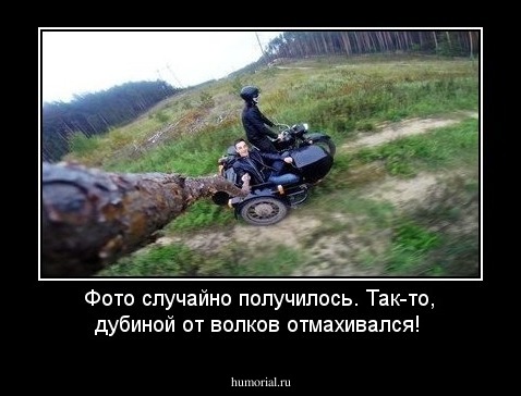 Фото случайно получилось. Так-то, дубиной от волков отмахивался!
