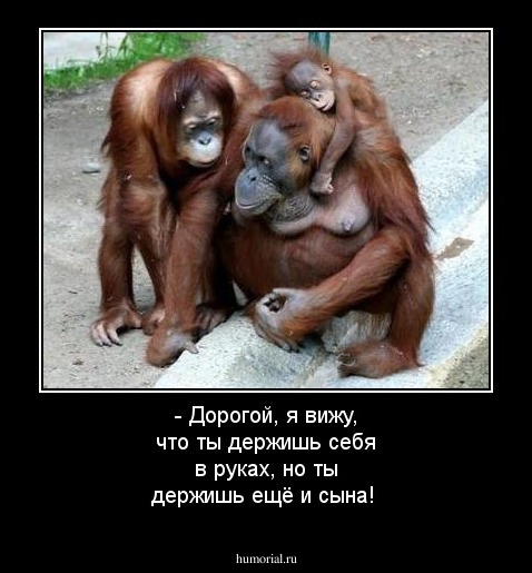 - Дорогой, я вижу, что ты держишь себя в руках, но ты держишь ещё и сына!