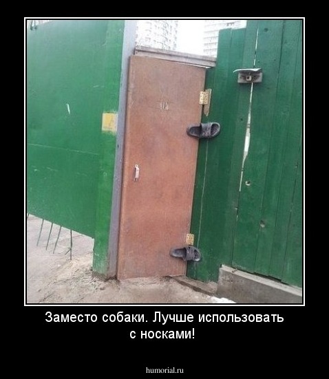Заместо собаки. Лучше использовать с носками!