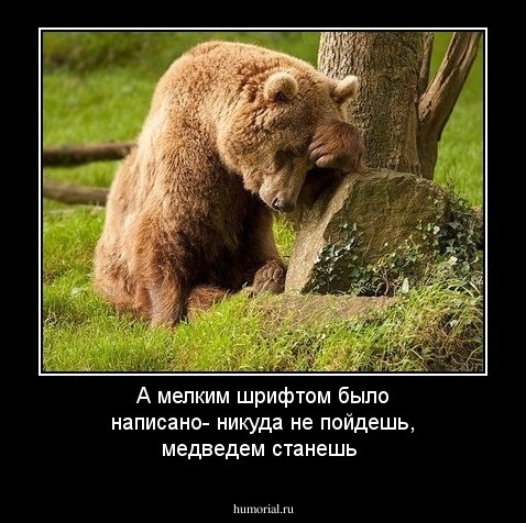 А мелким шрифтом было написано- никуда не пойдешь, медведем станешь