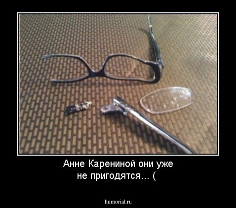Анне Карениной они уже не пригодятся... (