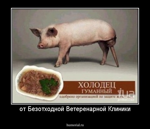 от Безотходной Ветеренарной Клиники