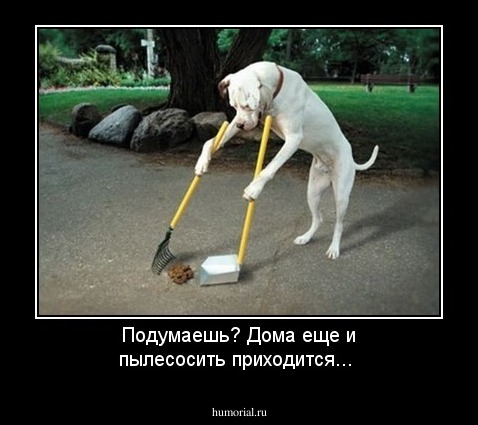 Подумаешь? Дома еще и пылесосить приходится...