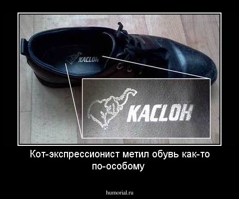 Кот-экспрессионист метил обувь как-то по-особому