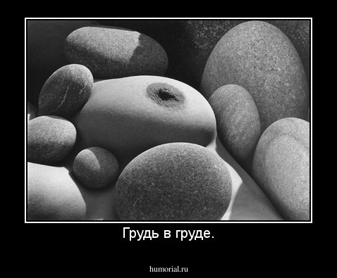 Грудь в груде.