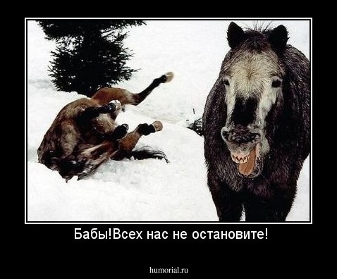  Бабы!Всех нас не остановите!