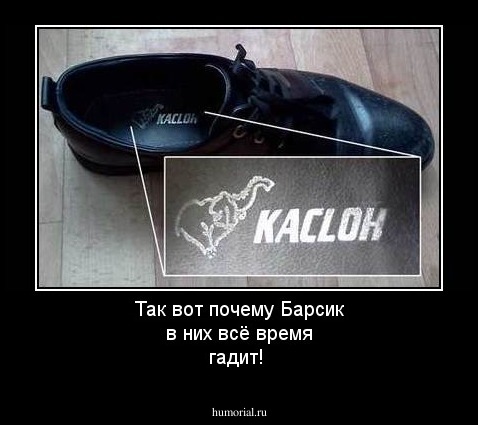 Так вот почему Барсик в них всё время гадит!