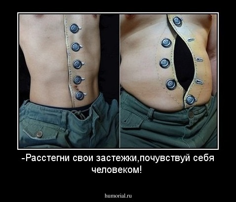 -Расстегни свои застежки,почувствуй себя человеком!