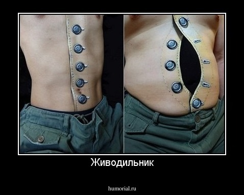 Живодильник
