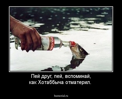 Пей друг, пей, вспоминай, как Хотаббыча отматерил.
