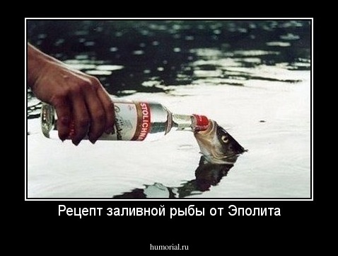 Рецепт заливной рыбы от Эполита