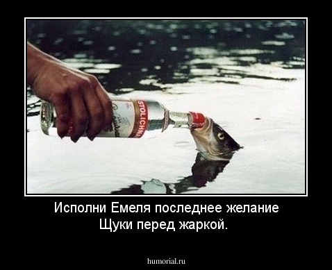 Исполни Емеля последнее желание Щуки перед жаркой.