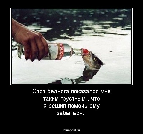 Этот бедняга показался мне таким грустным , что я решил помочь ему забыться.